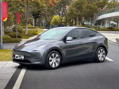 Tesla Model Y · 2021 год