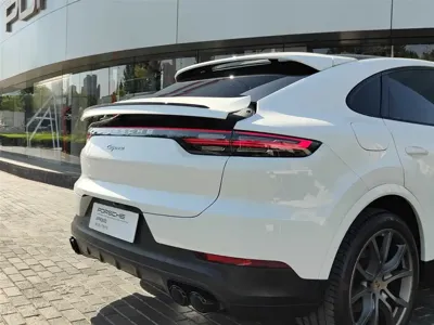 Porsche Cayenne Hybrid 2020, 63000 км, за 54148.45 USD - фото 18
