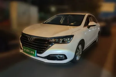 BAIC Senova D50 · 2019 год