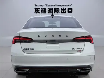 Skoda Octavia 2023, 27000 км, за 22457.51 USD