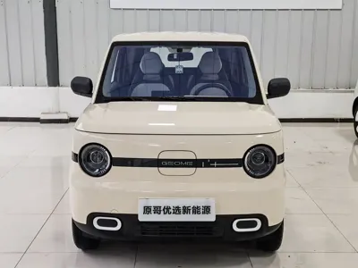 Galaxy Panda 2025, 2000 км, за 5120.56 USD