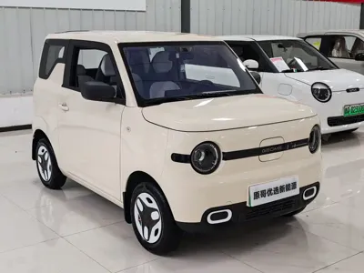 Galaxy Panda 2025, 2000 км, за 5120.56 USD