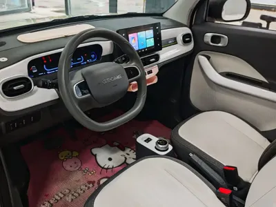 Galaxy Panda 2025, 2000 км, за 5120.56 USD