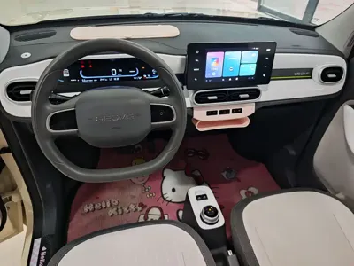 Galaxy Panda 2025, 2000 км, за 5120.56 USD