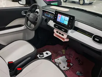 Galaxy Panda 2025, 2000 км, за 5120.56 USD - фото 6