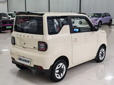 Galaxy Panda 2025, 2000 км, за 5120.56 USD - фото 9