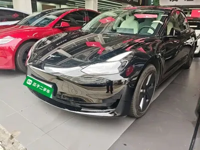 Tesla Model 3 · 2021 год