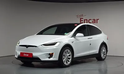 Tesla Model X · 2018 год