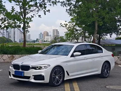 BMW 5 Series · 2019 год