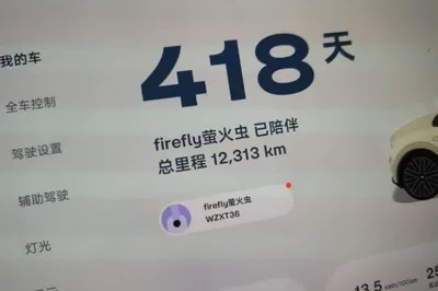 firefly firefly 2025, 12300 км, за 17049 USD - фото 14