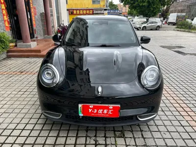 ORA Ora Good Cat 2021, 100000 км, за 8210.55 USD