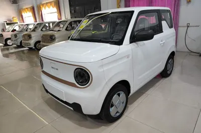 Geely Galaxy Panda · 2024 год