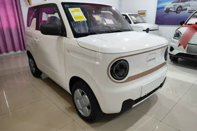 Geely Galaxy Panda 2024, 100 км, за 7141 USD