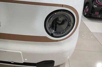 Geely Galaxy Panda 2024, 100 км, за 7141 USD - фото 8