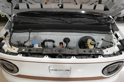 Geely Galaxy Panda 2024, 100 км, за 7141 USD - фото 24