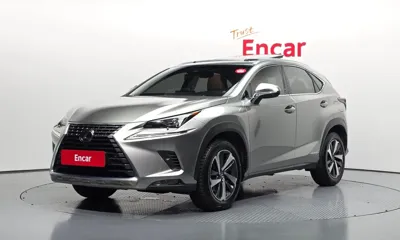 Lexus NX · 2019 год