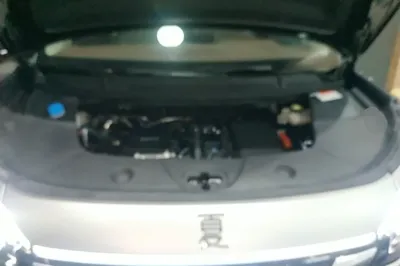 BYD Xia