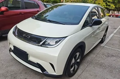 BYD Dolphin · 2025 год