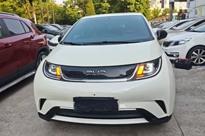 BYD Dolphin 2025, 5200 км, за 12692 USD