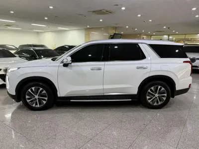 Hyundai Palisade 2019, 158220 км, за 12493.4 USD