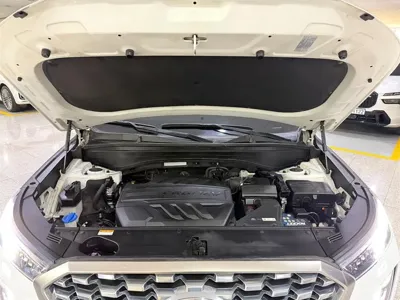 Hyundai Palisade 2019, 158220 км, за 12493.4 USD - фото 16