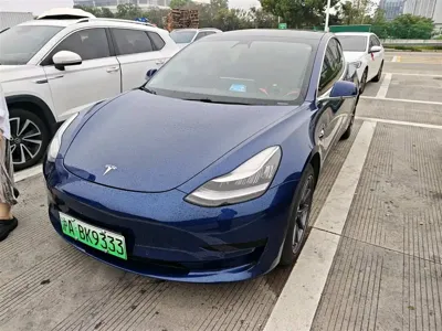 Tesla Model 3 · 2020 год
