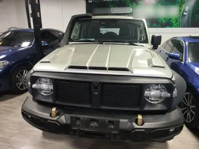 Tank Tank 300 2023, 78100 км, за 25757.51 USD