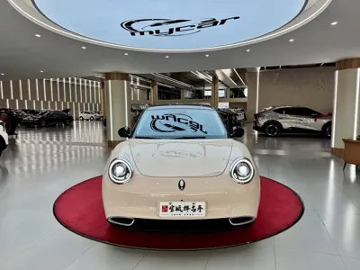 ORA Ora Good Cat 2025, 18000 км, за 10299.98 USD