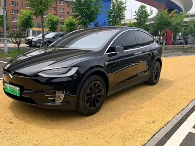 Tesla Model X · 2019 год