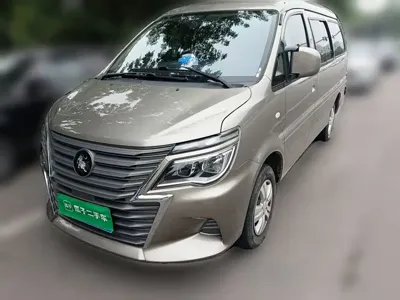 Fengxing Lingzhi · 2024 год
