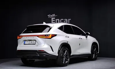 Lexus NX 2025, 17237 км, за 35216.38 USD
