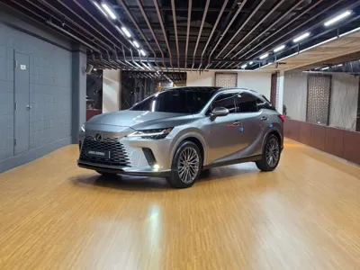 Lexus RX · 2023 год