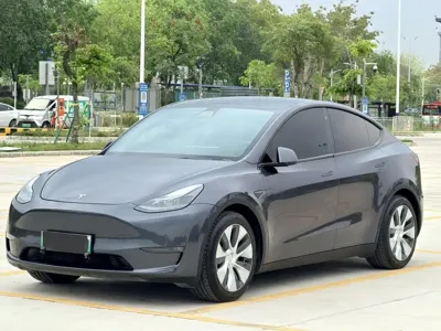 Tesla Model Y · 2021 год