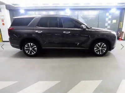 Hyundai Palisade 2019, 127806 км, за 12925.04 USD