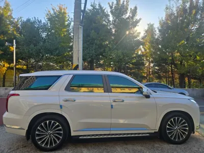 Hyundai Palisade 2023, 68000 км, за 24960.58 USD