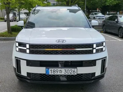 Hyundai Santafe · 2025 год