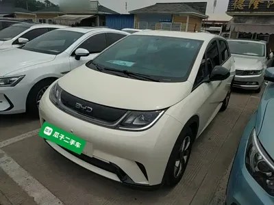BYD Dolphin 2024, 18600 км, за 9637.84 USD