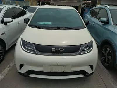 BYD Dolphin 2024, 18600 км, за 9637.84 USD