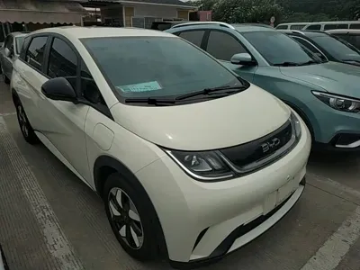 BYD Dolphin 2024, 18600 км, за 9637.84 USD