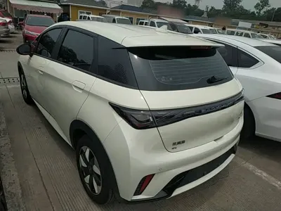 BYD Dolphin 2024, 18600 км, за 9637.84 USD