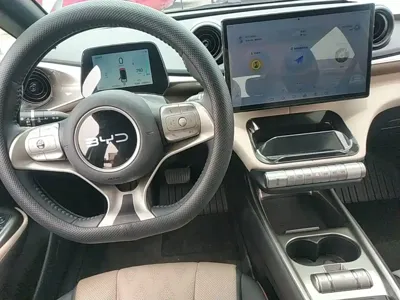 BYD Dolphin 2024, 18600 км, за 9637.84 USD - фото 14