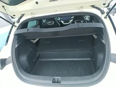 BYD Dolphin 2024, 18600 км, за 9637.84 USD - фото 19