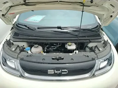 BYD Dolphin 2024, 18600 км, за 9637.84 USD - фото 20