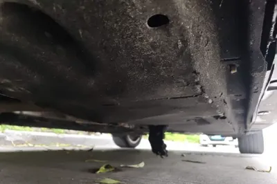 Audi A6L 2018, 79400 км, за 19631 USD - фото 26