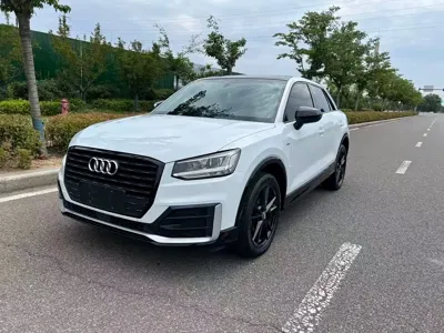 Audi Q2L · 2019 год