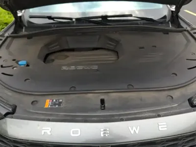 Roewe RX9 2024, 32700 км, за 10594.26 USD - фото 10