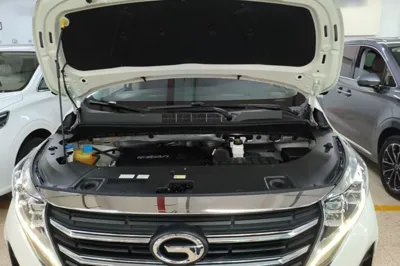 GAC Trumpchi M8 2021, 50700 км, за 19051 USD - фото 24