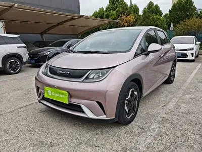 BYD Dolphin 2022, 58099 км, за 8604.8 USD
