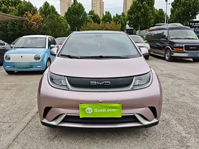 BYD Dolphin 2022, 58099 км, за 8604.8 USD