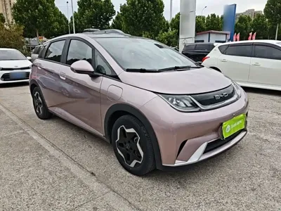 BYD Dolphin 2022, 58099 км, за 8604.8 USD